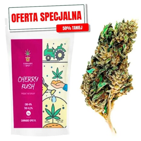 Cherry Kush - Specjalna oferta (1)