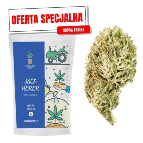 Jack herer -specjalna oferta (1)