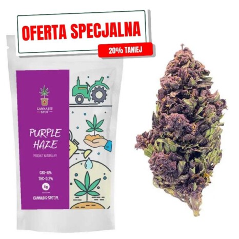 Purple haze -oferta specjalna