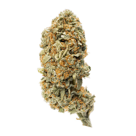 Premafrost Cryo-Dried susz konopny CBD<10% (100g-1000g)