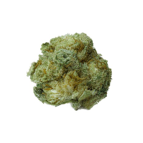 Premafrost Cryo-Dried susz konopny CBD<10% (100g-1000g)