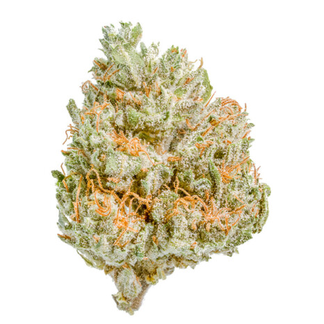 Lemon Haze susz konopny CBD<12% (100g-10000g)