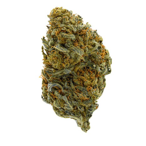 Cherry Kush susz konopny CBD<12% (100g-5000g)