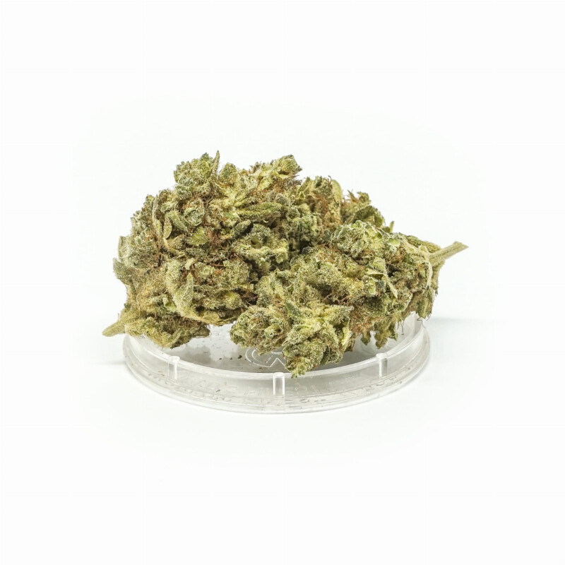 Tangerine Dream - Susz konopny 1 g CBD kwiatostan