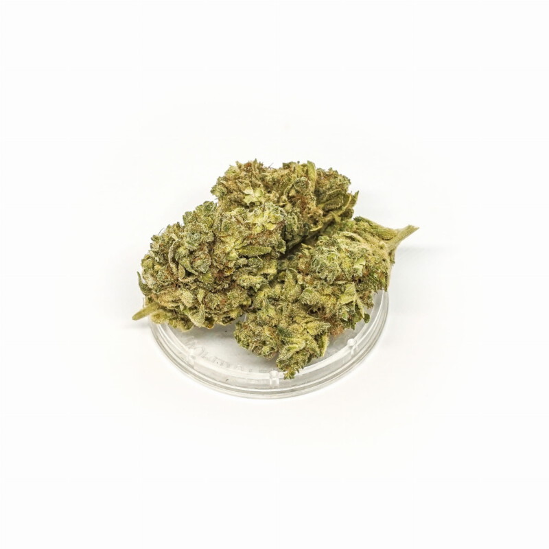 Tangerine Dream - Susz konopny 1 g CBD kwiatostan 2