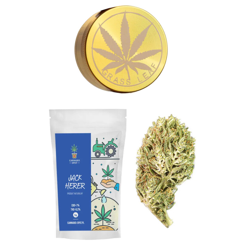 Zestaw Grinder Złoty Listek 3-częściowy + Susz CBD Jack Herer 5 g