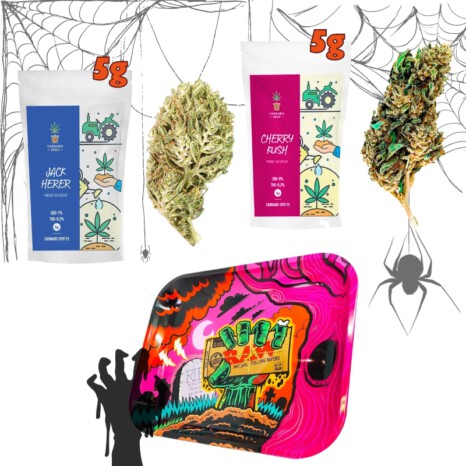 Halloween Party - Susz CBD Jack Herer 5g + Cherry Kush 5g + Tacka Zombie