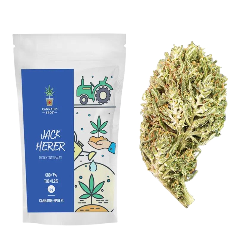 Jack herer