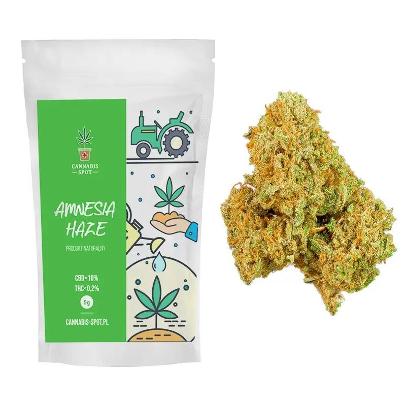 Susz CBD Amnesia Haze – CBD 10%